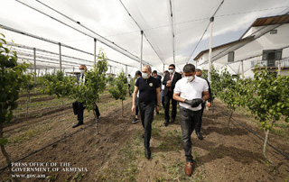 PM gets acquainted with agricultural activities and intensive orchards establishment programs in Ararat Marz