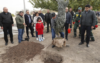 The Prime Minister, together with his family, participates in the tree planting in Yerevan 