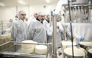 Le Premier ministre était présent à la cérémonie d'inauguration  de l'usine de fabrication de fromage et de produits laitiers